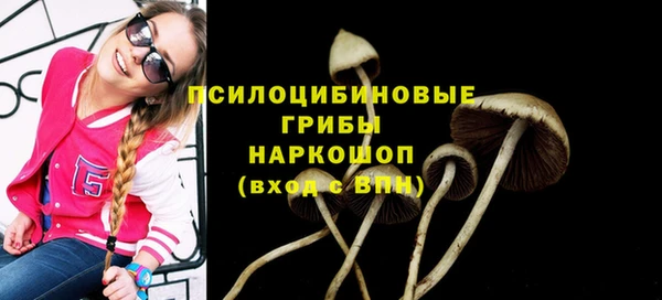 мет Заволжск