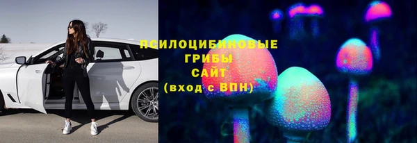 PSILOCYBIN Верхнеуральск