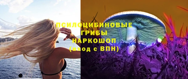 PSILOCYBIN Верхнеуральск